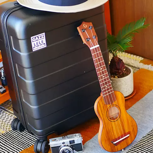 たびレレ（予約商品 2025年12月上旬お届け予定）