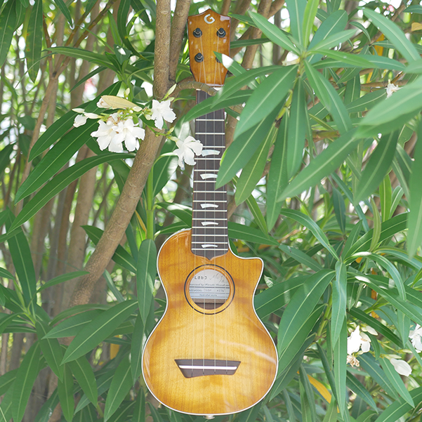 ガズモデル コンサートサイズ （レモンドロップ）（通常商品）