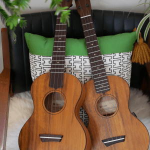 ガズのわがままウクレレ テナーサイズ（予約商品 2026年3月上旬以降発送予定）